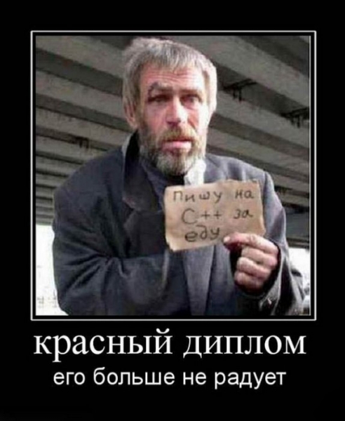 работаю программистом за еду
